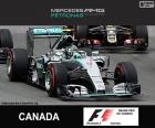 Nico Rosberg, Mercedes, 2015 Kanada Grand Prix, ikinci sırada